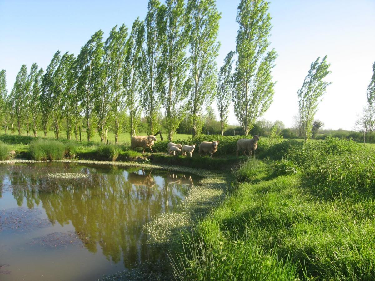 La Ferme De Magnantru Bed & Breakfast Perigne Luaran gambar